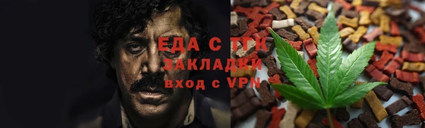 спайс Арсеньев