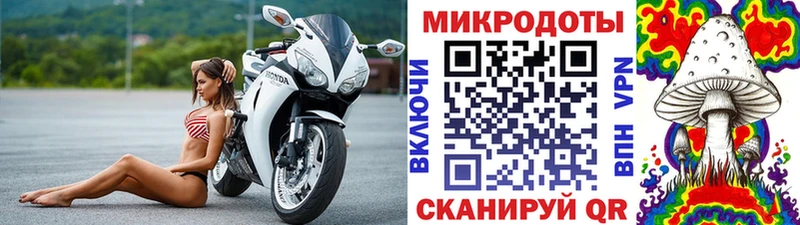 Купить где  Мурино  Галлюциногенные грибы мицелий 